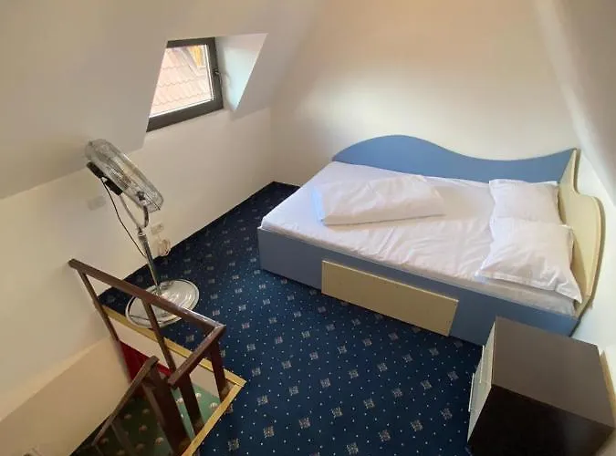 Hanu Satului Pensiune 3*