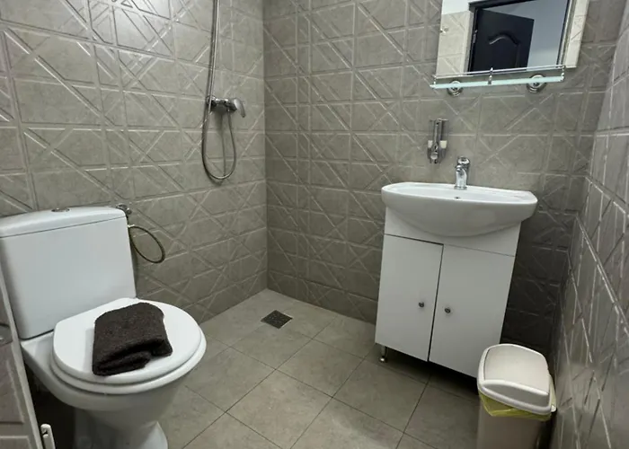 Hanu Satului Pensiune