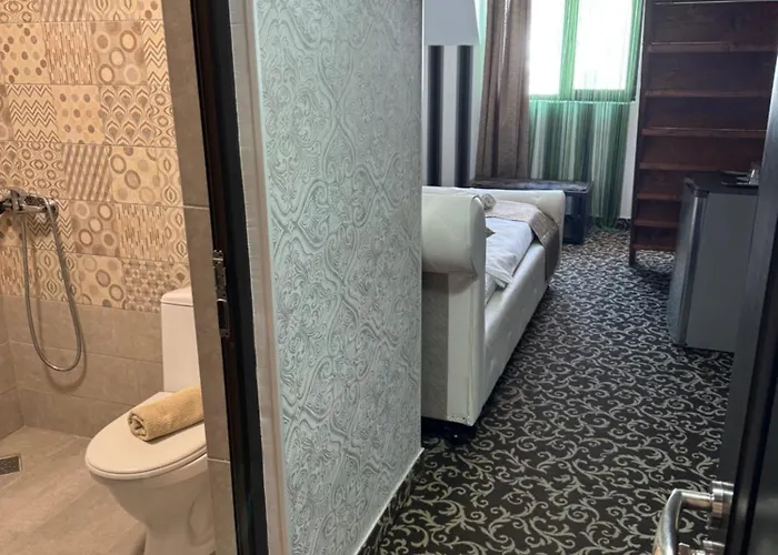 Pensiune Hanu Satului