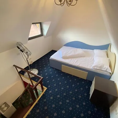 Hanu Satului Guest house 3*