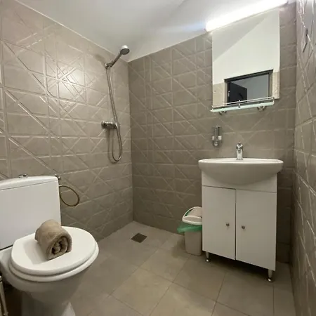 Guest house Hanu Satului 3*