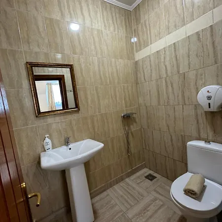 Guest house Hanu Satului 3*