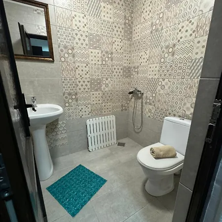 Hanu Satului Guest house 3*