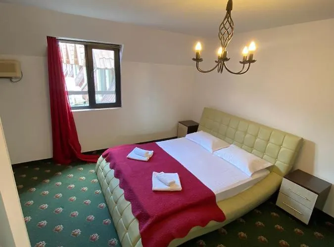 Hanu Satului Guest house 3*