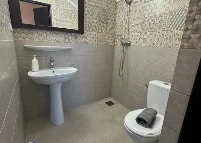 Hanu Satului Guest house