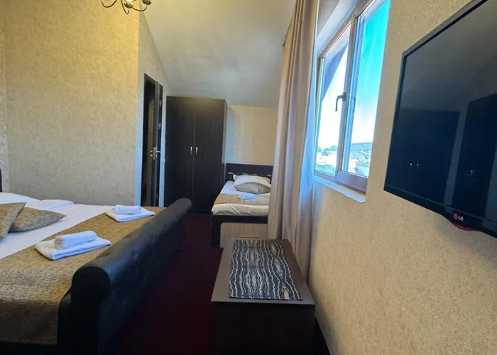 Hanu Satului Guest house 3*