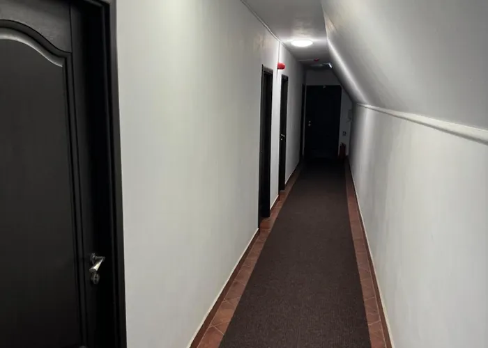 Guest house Hanu Satului 3*