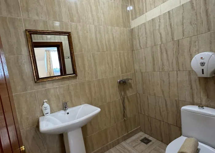 Guest house Hanu Satului 3*