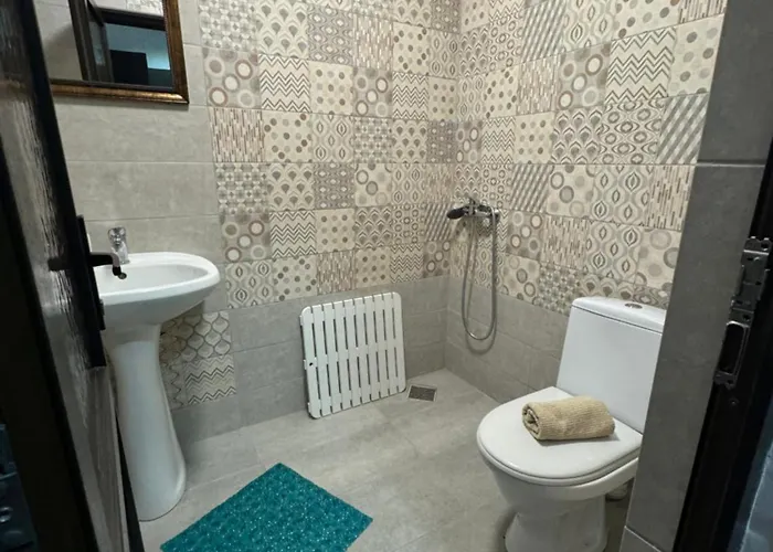 Hanu Satului Guest house 3*