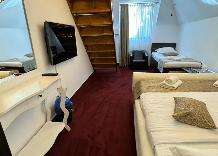 Hanu Satului Guest house