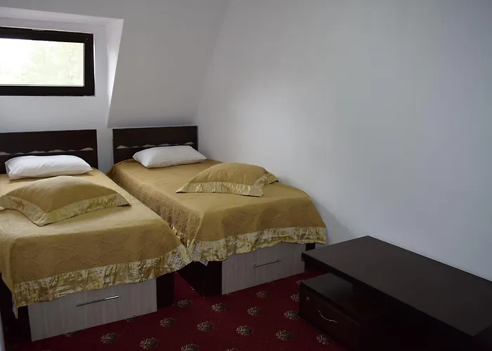 Guest house Hanu Satului