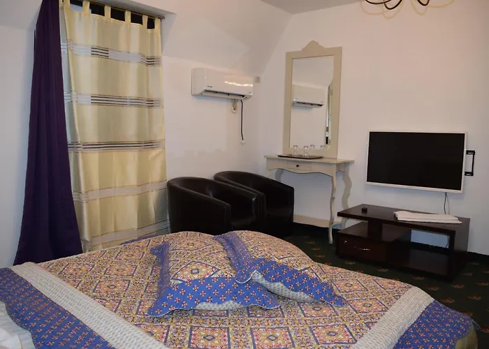 Hanu Satului Guest house