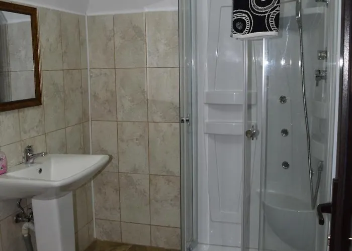 Guest house Hanu Satului